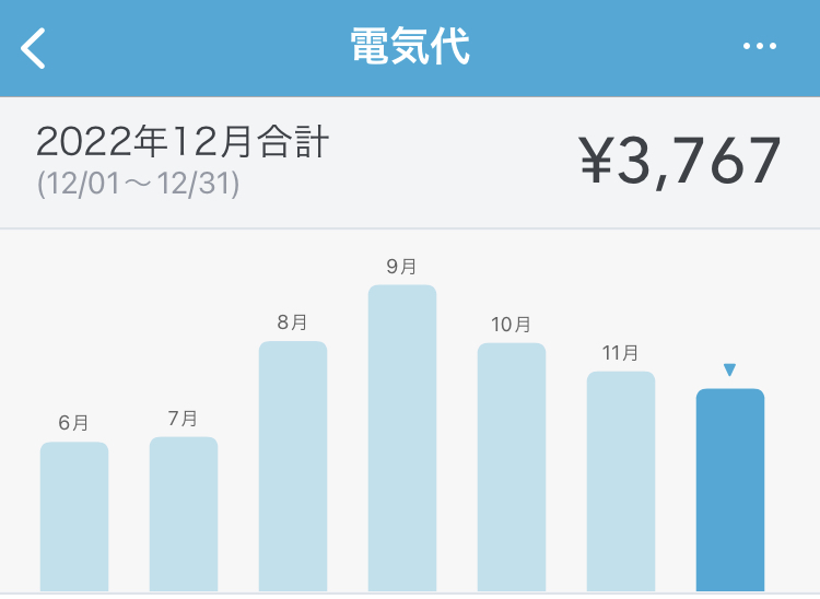 12月の電気代