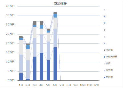 2025年6月の支出推移